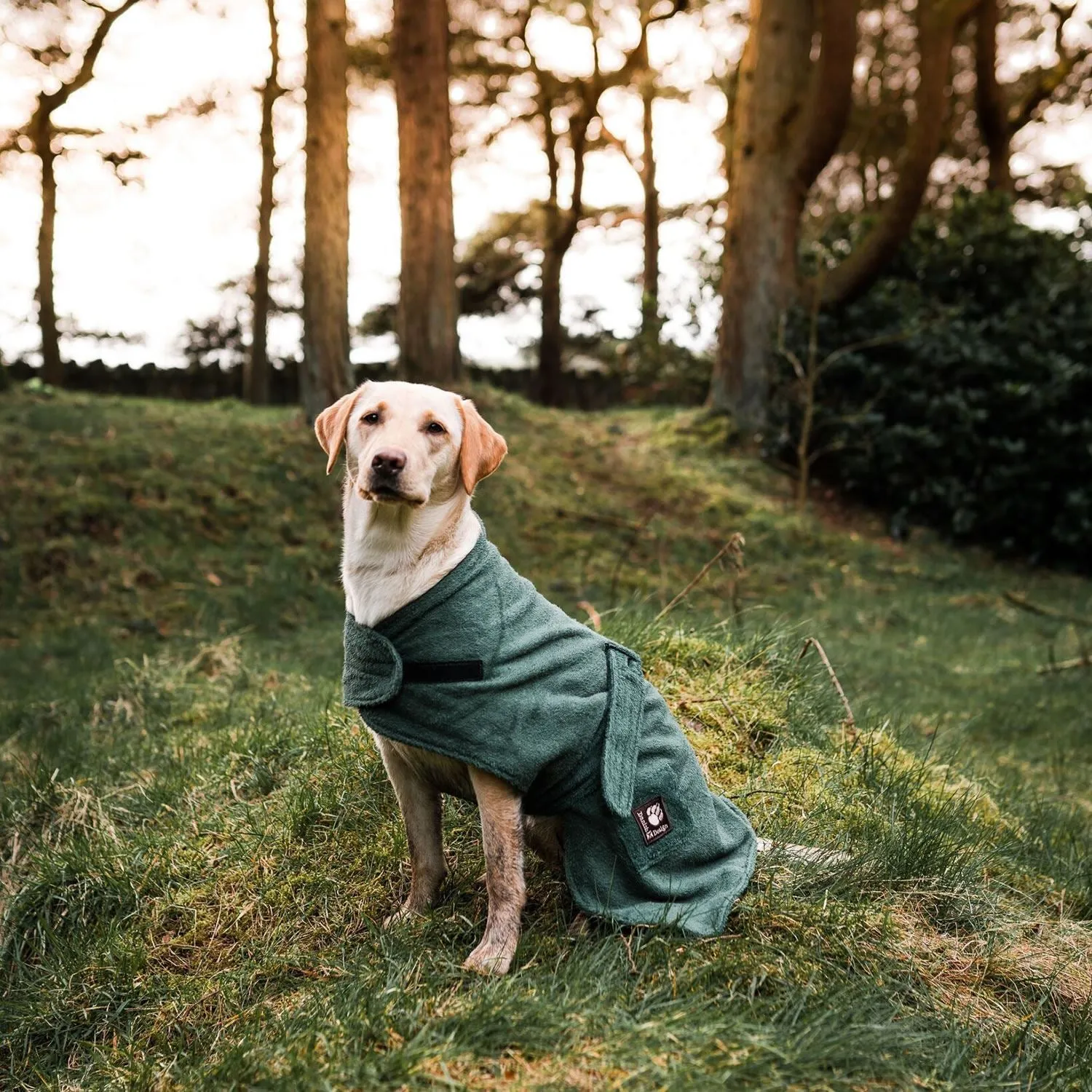 Danish Design Dog Robe Towelling