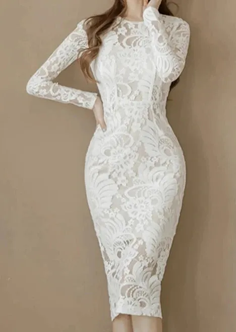 IVY Lace All Over Long Sleeve Sheath Dress