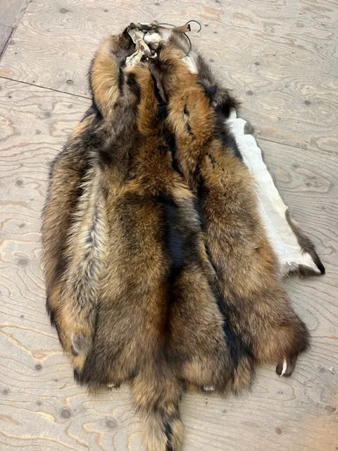 Red Finnish Raccoon Fur